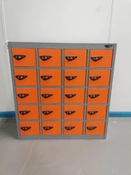 Mini Minder Locker